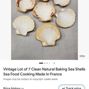 Natural Sea Shell Baking Set